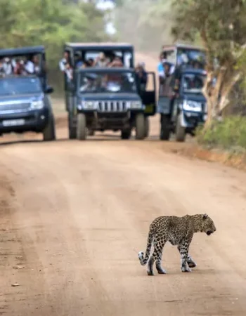 3mi0dea3se977ma8c0hkrnpywtpb_shutterstock_686683384