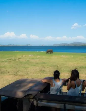 4_sigiriya-dambulla-minneriya-safari-with-pickup-drop