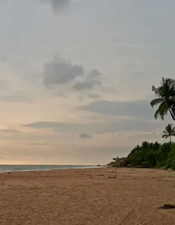 7thingstodoinbentota1