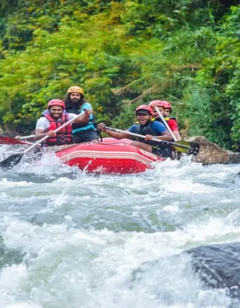 LK301D0100-02-E-1280-720