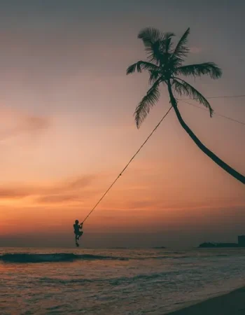 Palm-tree-swing-south-coast-sri-lanka