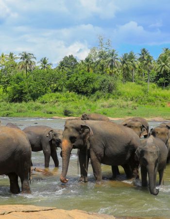 Purple Sky Profile Header (2660 x 1140 px)