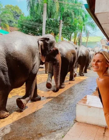 bianx_Pinnawala-Elephant-Orphanage