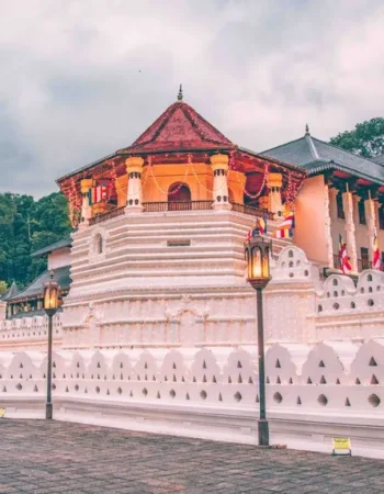 chathura-anuradha-subasinghe-40uQmE9Zq8g-unsplash-1024x683