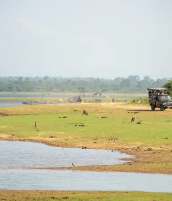 safari-car-in-yala-national-park-in-southern-sri-lanka